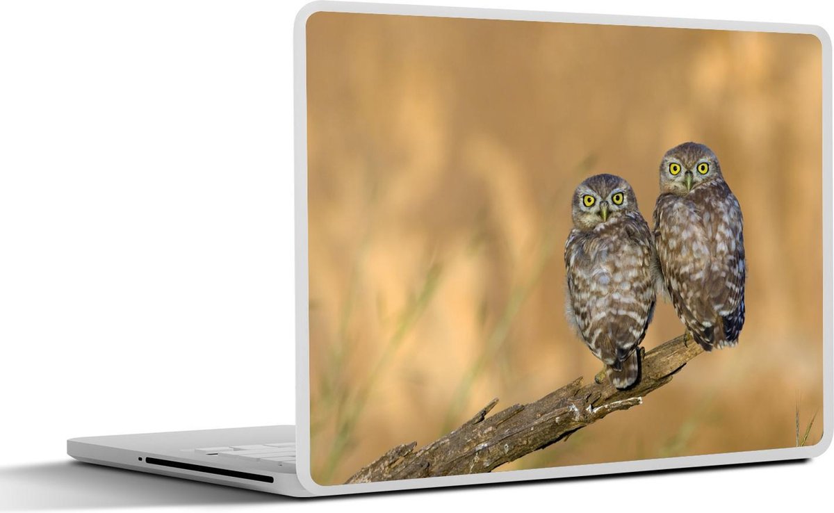 Afbeelding van product SleevesAndCases  Laptop sticker - 17.3 inch - Uilen paar
