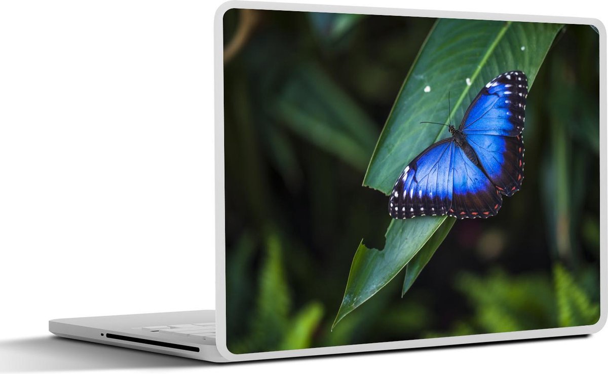 Afbeelding van product SleevesAndCases  Laptop sticker - 15.6 inch - Close-up morpho vlinder op een blad