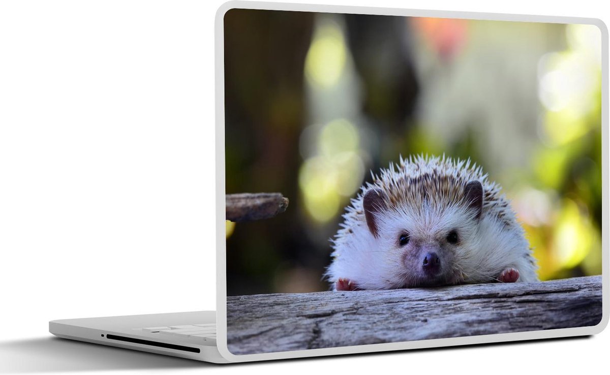 Laptop sticker - 11.6 inch - Egel ligt op hout - 30x21cm - Laptopstickers - Laptop skin - Cover