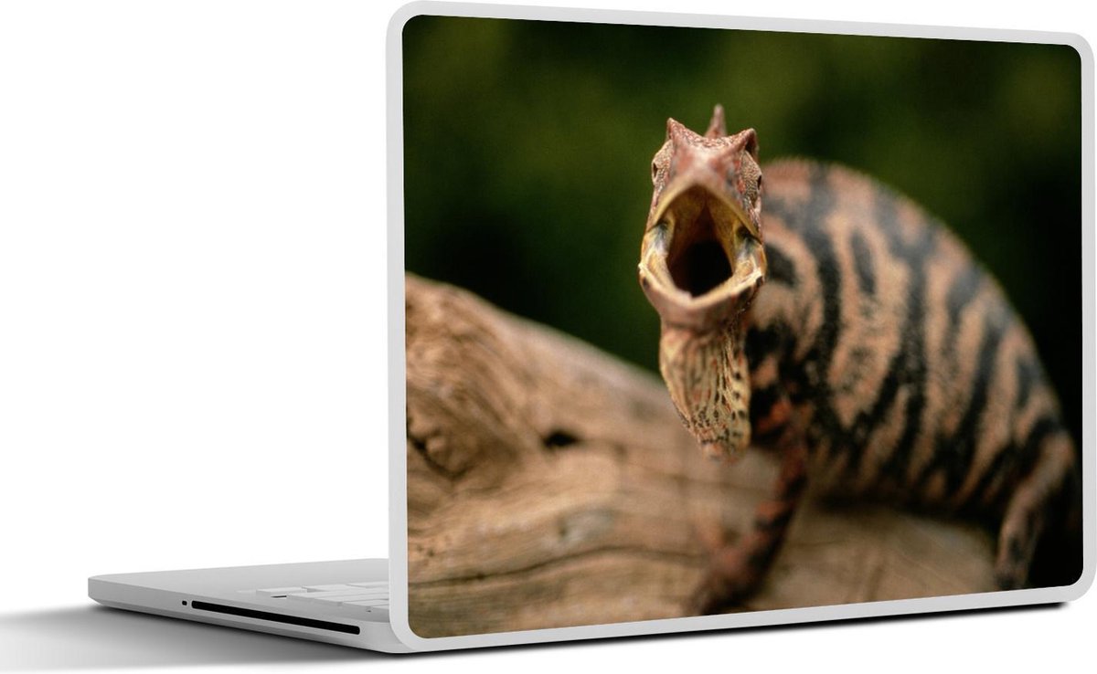 Afbeelding van product SleevesAndCases  Laptop sticker - 13.3 inch - Reptielen - Madagascar - Afrika