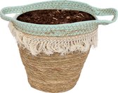 WLPlants Hoogwaardige Plantenmand Himba Ø19 - Mintgroen - Hoogte 14 cm - Luxe bloempot gemaakt van zeegras - Geschikt als plantenpot - Binnen te gebruiken