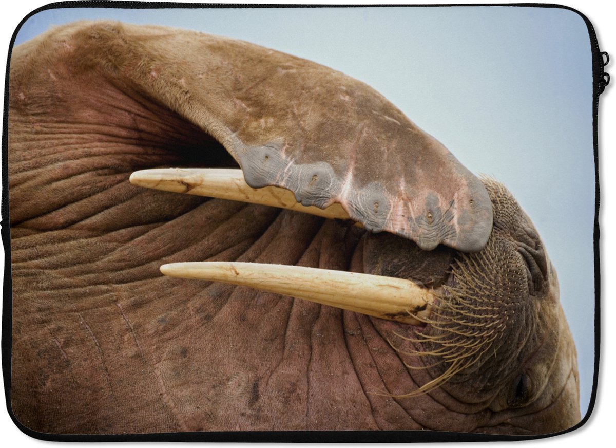 Laptophoes 14 inch - Walrus - Dieren - Close up - Laptop sleeve - Binnenmaat 33x23 cm - Zwarte achterkant