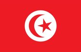 Sticker Tunesië 6 x 8 cm