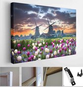 Netherlands landscape with beautifull violet and white tulips flowers. Dutch windmills, water mill houses near the canal in Zaanse Schans postcard - Modern Art Canvas - Horizontal - 1481242091 - 115*75 Horizontal