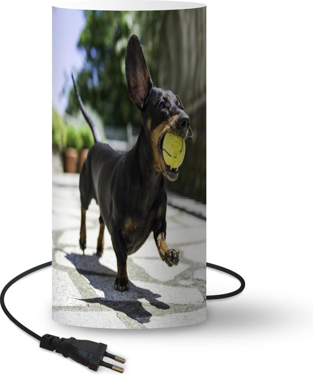 Lamp - Nachtlampje - Tafellamp slaapkamer - Een zwarte Teckel met een tennisbal - 54 cm hoog - Ø24.8 cm - Inclusief LED lamp