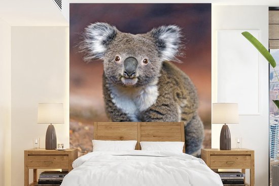 Papier peint Koala 