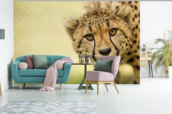 Papier peint - Papier peint photo Léopard - Guépard - Animal - Largeur 330 cm x hauteur 220 cm