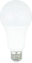 DIOLAMP Schemersensor Lamp E27 A60 LED 10W Daglicht 6000K | 940lm | 30000h | A+ | Vervangt 90W