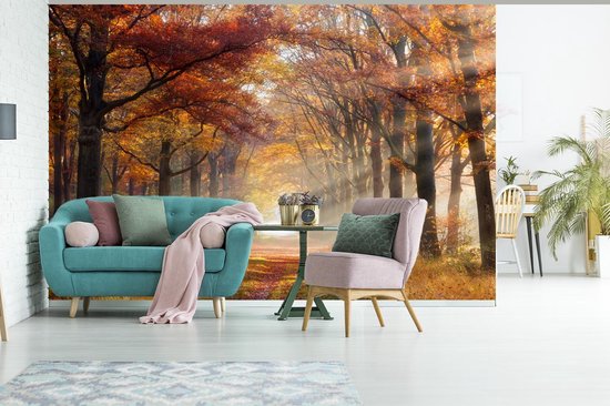 Papier Peint - Papier peint photo Automne - Forêt - Arbre - Largeur 600 cm x Hauteur 400 cm