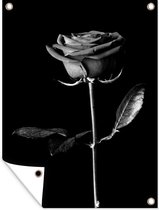 Tuinposter - Tuindoek - Tuinposters buiten - Een roos op een zwarte achtergrond - zwart wit - 90x120 cm - Tuin