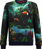 WE Fashion Jongens sweater met dessin