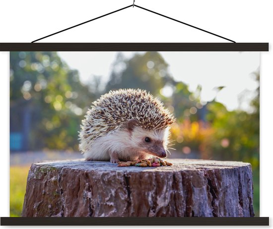 Eating Hedgehog affiche textielposter lattes noir 60x40 cm