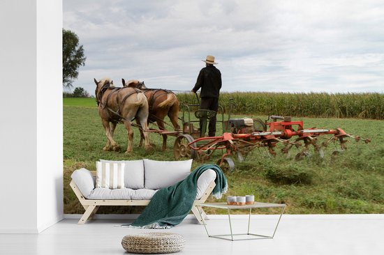 Papier peint photo vinyle - Un homme utilise ses chevaux pour labourer son champ largeur 420 cm x hauteur 280 cm - Tirage photo sur papier peint (disponible en 7 tailles)