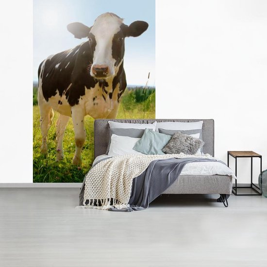 Papier peint - Papiers Papier peint photo Vache - Animaux - Macro - Soleil - Largeur 145 cm x Hauteur 220 cm