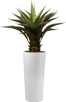 HTT - Kunstplant Agave vetplant in Clou rond wit H100 cm