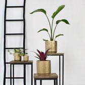 Gouden Planten pot | Shiny Mate - Ø13.5cm