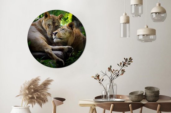 Wallpaper Circle - Lion - Câlin - Forêt - 100x100 cm - Wall Circle - Auto-adhésif - Papier Peint Rond Autocollant XXL