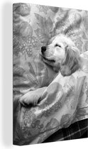 Canvas Schilderij Golden retriever pup ligt op bed - zwart wit - 20x30 cm - Wanddecoratie