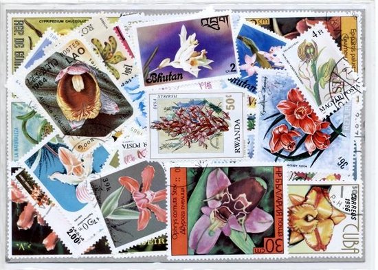 Thumbnail van een extra afbeelding van het spel Orchideeen – Luxe postzegel pakket (A6 formaat) : collectie van 50 verschillende postzegels van orchideeen – kan als ansichtkaart in een A6 envelop - authentiek cadeau - kado - geschenk - kaart - cattleya - cymbidium - orchidee - vanda - bloem