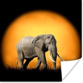 Poster Olifant - Zon - Tanden - 50x50 cm