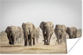 Poster Olifant - Afrikaans - Stof - 90x60 cm