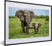 Fotolijst incl. Poster - Olifant - Natuur - Park - 40x30 cm - Posterlijst