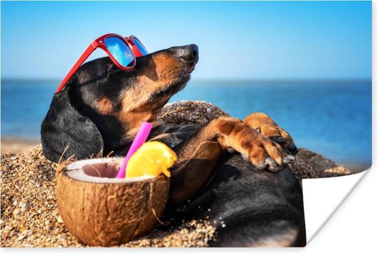 Poster Hond - Zonnebril - Strand - Zomer - 90x60 cm