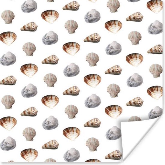 Poster Shell - Motifs - Couleurs - 100x100 cm XXL