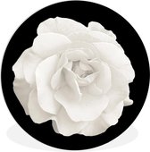Wall Circle - Wall Circle Indoor - Rose - Zwart - Wit - ⌀ 150 cm - Décoration murale - Peintures Ronds