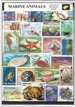 Zeedieren – Luxe postzegel pakket (C5 formaat) : collectie van 100 verschillende postzegels van zeedieren – kan als ansichtkaart in een C5 envelop - authentiek cadeau - kado - geschenk - kaar