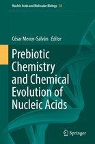 Nucleic Acids and Molecular Biology- Prebiotic Chemistry and Chemical Evolution of Nucleic Acids