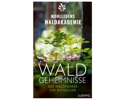 Waldgeheimnisse