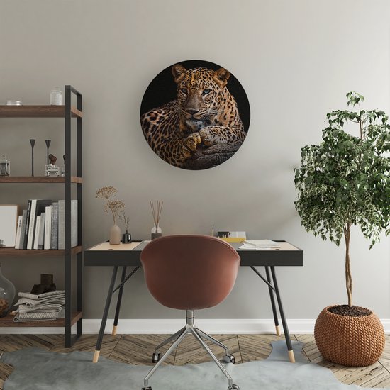 Artaza Forex cercle mural léopard aux yeux bleus - 40x40 cm - Klein - cercle mural - peinture ronde - cercle de Décoration murale