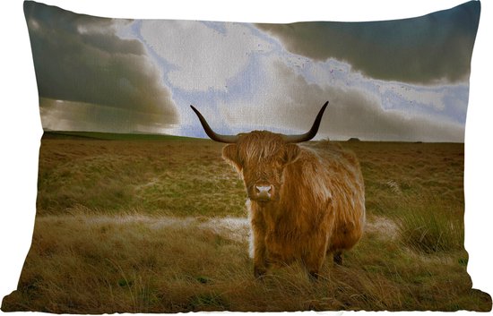 Sierkussen Schotse hooglander voor buiten - Harige Schotse hooglander met zonnestralen - 50x30 cm - rechthoekig weerbestendig tuinkussen / tuinmeubelkussen van polyester
