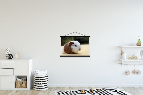 Affiche textielposter jeune cochon d'Inde 60x40 cm