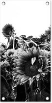 Tuinposter Zonnebloemen in Nederland zwart-wit - 30x60 cm - Tuindoek - Buitenposter