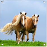 Tuinposters Paarden - Gras - Lucht - 50x50 cm - Tuindoek - Buitenposter