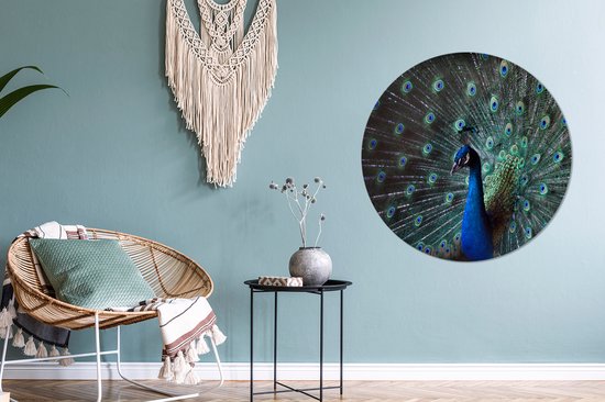 WallCircle - Cercle mural ⌀ 90 - Paon - Ressorts - Couleurs - Tableaux ronds salon - Plaque murale ronde - Cercle Décoration murale - Décoration chambre intérieur - Décoration murale - Accessoires de maison