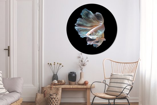 Wall Circle - Wall Circle Indoor - Poisson - Staart - Zwart - ⌀ 120 cm - Décoration murale - Peintures Ronds XXL