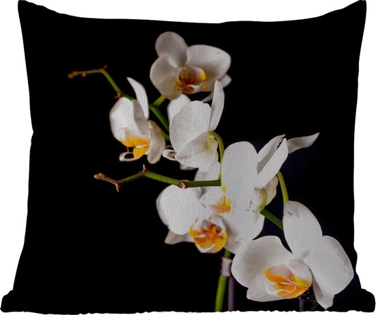 Coussin d'extérieur - Orchidée - Fleurs - Plantes - Botanique - 45x45 cm - Résistant aux intempéries