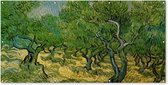 Schuttingposter Olijfgaard - Vincent van Gogh - 200x100 cm - Tuindoek