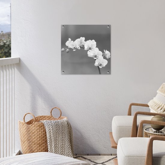 Posters de jardin Orchidée - Fleurs - Plante - Wit - Violet - 50x50 cm - Toile jardin - Affiche extérieure