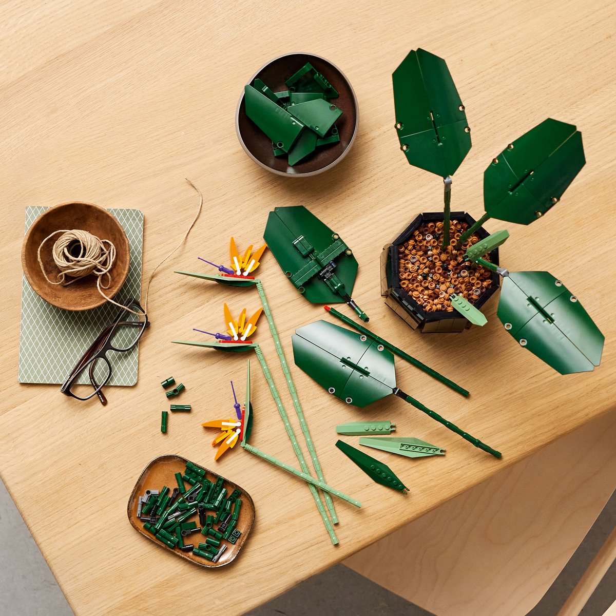 LEGO Botanicals Paradijsvogelplant 10289 — afbeelding 15