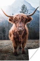 Poster Schotse hooglander - Natuur - Bergen - 40x60 cm