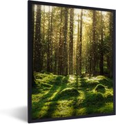 Fotolijst incl. Poster - Bomen - Bos - Mos - Planten - Zon - Natuur - 30x40 cm - Posterlijst