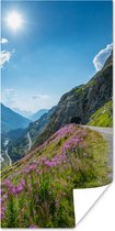 Poster Zwitserland - Alpen - Natuur - 80x160 cm