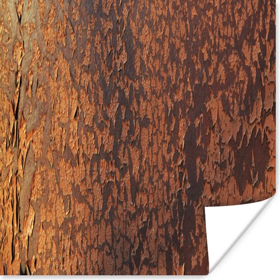 Poster Roest - Bruin - Oranje - Metaal - Patroon - Structuur - 100x100 cm XXL