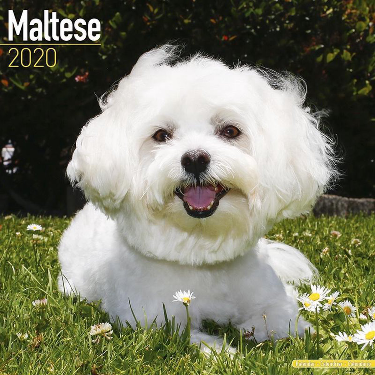 Maltese Calendar 2020