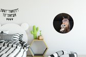 Cheval avec grimace cercle mural aluminium ⌀ 30 cm - impression photo sur cercle mural / cercle vivant / cercle de jardin (décoration murale)