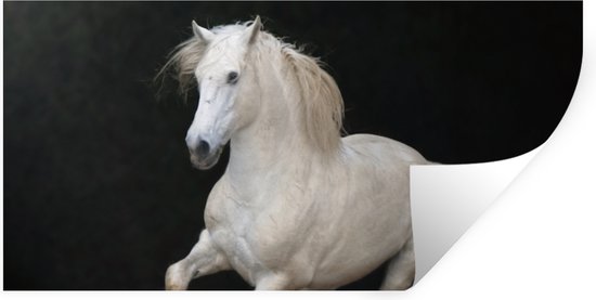 Muurstickers - Sticker Folie - Paarden - Zwart - Portret - 80x40 cm - Plakfolie - Muurstickers Kinderkamer - Zelfklevend Behang - Zelfklevend behangpapier - Stickerfolie